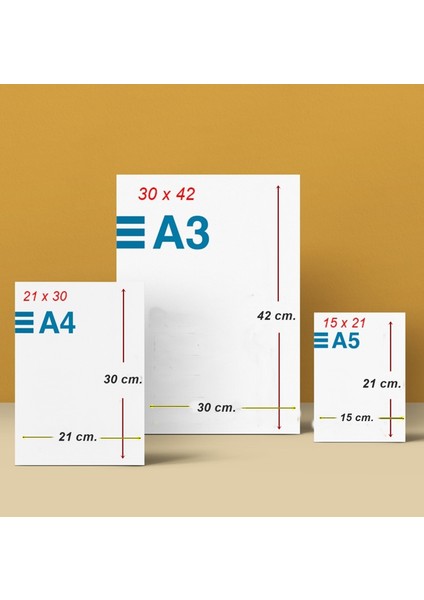 Bohem Tarzı Kuş ve Ağaç Sanat Posteri
