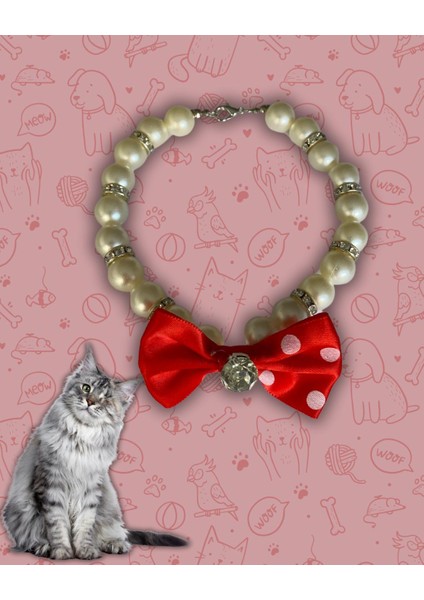 Kedi Veköpek Tasması