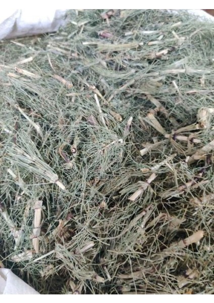 Kırkkilit Otu At Kuyruğu 100 gr ( Doğal Kurutulmuş Yeni Mahsül Taze Ürün )