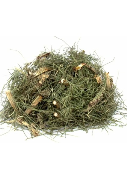 Kırkkilit Otu At Kuyruğu 100 gr ( Doğal Kurutulmuş Yeni Mahsül Taze Ürün )