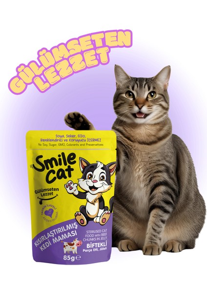 Cat Pouch Kısırlaştırılmış Kedi Maması Biftekli 85GR.
