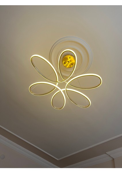 Papatya LED Avize