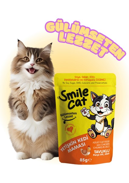 Cat Pouch Yetişkin Kedi Maması Tavuklu 85 Gr.