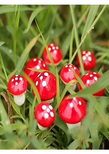 Yapay Mantar 30 Adet Mini Teraryum Malzemesi Telli Kırmızı Mantarlar Dekoratif Saksı Süsleri