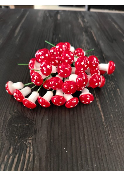 Yapay Mantar 50 Adet Mini Teraryum Malzemesi Telli Kırmızı Mantarlar Dekoratif Saksı Süsleri fiyatları