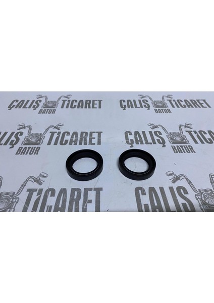 CF250 Nk Ön Amortisör Keçesi 37-50-11 fırsatları