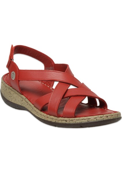 D25YS-2865Z Günlük Kadın Sandalet