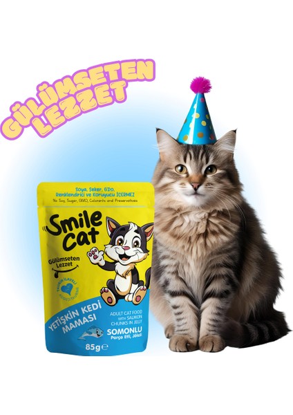 Cat Pouch Yetişkin Kedi Maması Somonlu 85 Gr. fiyatları