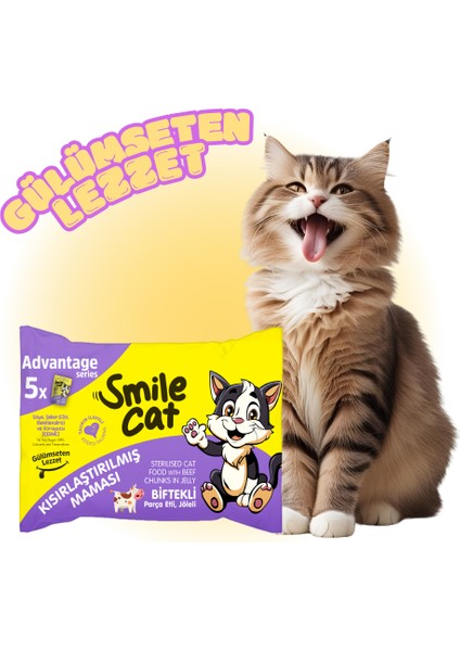 Cat Kısırlaştırılmış Kedi Maması Biftekli Flowpack 5*85 Gr. (425GR.) fiyatları