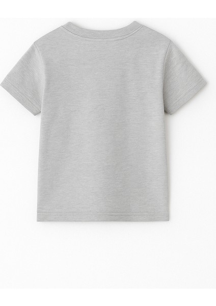 Brawl Stars Erkek Çocuk Tişörtü Renkli Kısa Kollu Pamuklu Yazlık Oyuncu Temalı Tasarım Basic T-Shirt modelleri
