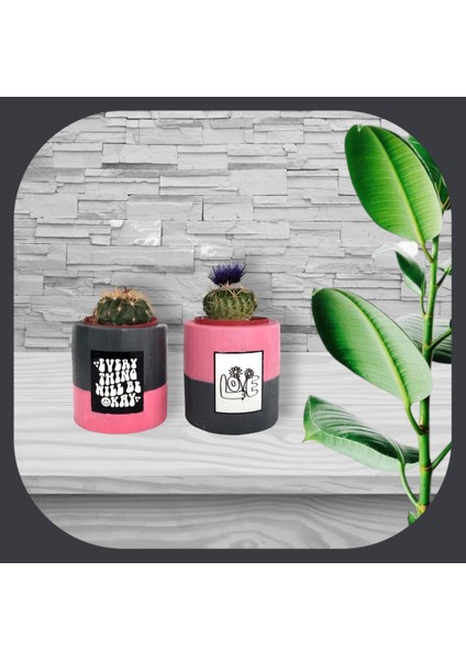 Mumluk ve Sukulentlik Set 2 Lı Beton Gri ve Pembe Baskılı Dekoratif Hediyelik fiyatları