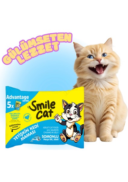 Cat Yetişkin Kedi Maması Somonlu Flowpack 5*85 Gr. (425GR.)