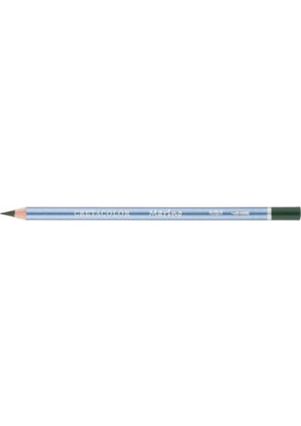 Marino Sulandırılabilir Boya Kalemi Olive Green Dark (241 91)