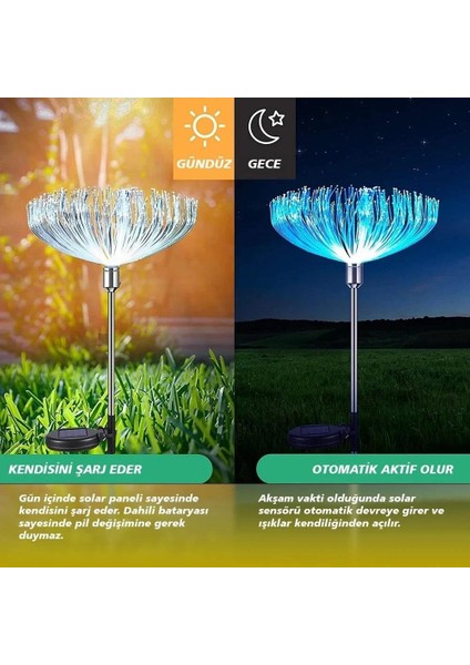 Solar Led'li 7 Renk Değiştiren Bahçe Dekorasyon Aydınlatma 2'li Paket