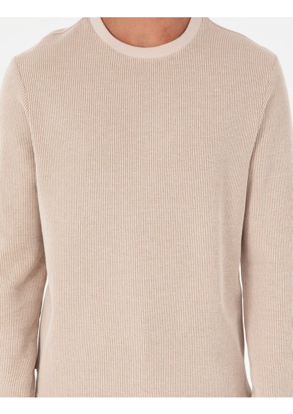 Erkek Bej Regular Fit Sweatshirt 50296752-Vr011
