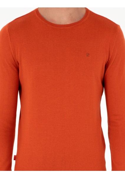 Erkek Turuncu Slim Fit Bisiklet Yaka Basic Triko Kazak 50296621-VR051