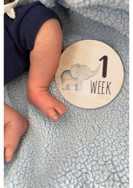 Safari Ahşap Bebek Anı Diskleri Ingilizce Fotoğraf Çekim Kartları indirimleri