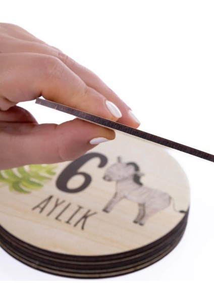 Sevimli Safari Hayvanları ile Ahşap Bebek Fotoğraf Çekim Kartları fiyatları