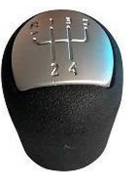 6R068 Vites Topuzu Kangoo Iii Gri Glstd