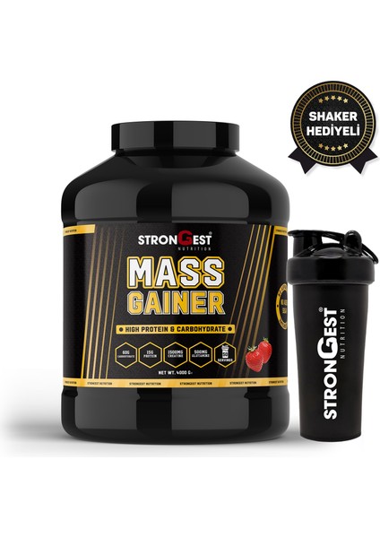 Mass Gainer 4000GR 50 Servis Yüksek Protein Değerli, Kreatin ve Amino Asit Takviyeli