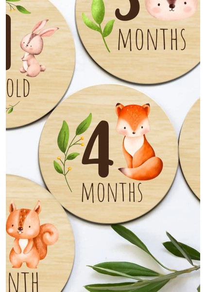 Aylık Bebek Kartları Ingilizce Milestone Cards Bebek Hediyelik Anı Kartı Ay Kartları fiyatları