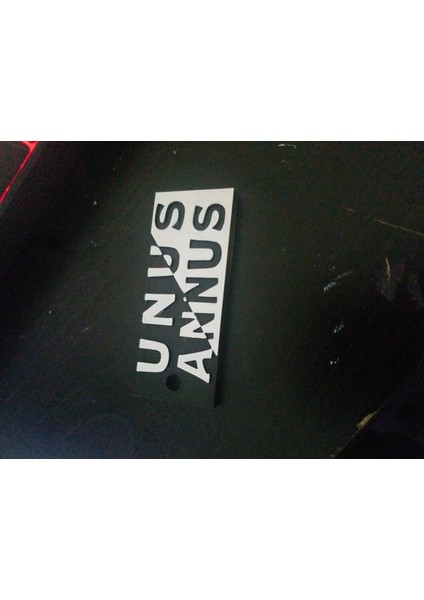 Bir Yıllık Anahtarlık Sadece Plastik Aparattır.