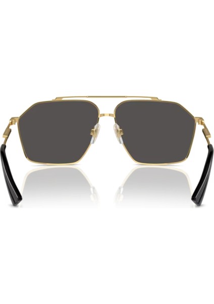 Dg 2303 02/87 61 modelleri