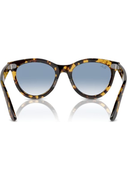 Rb 2241 Wayfarer Way 1332/3F 51