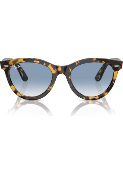 Rb 2241 Wayfarer Way 1332/3F 51