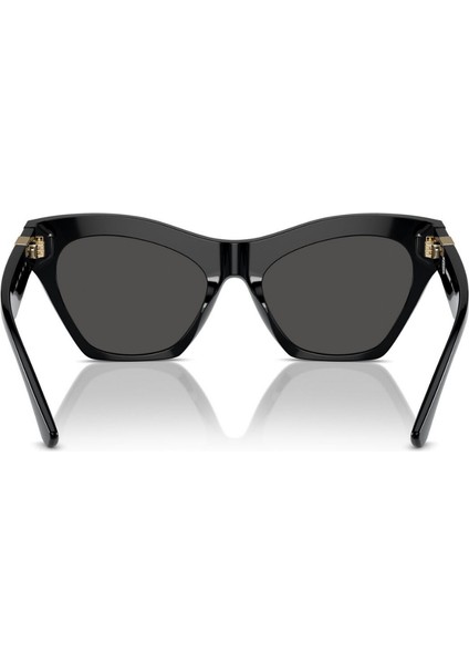 B 4420-U 3001/87 55 modelleri