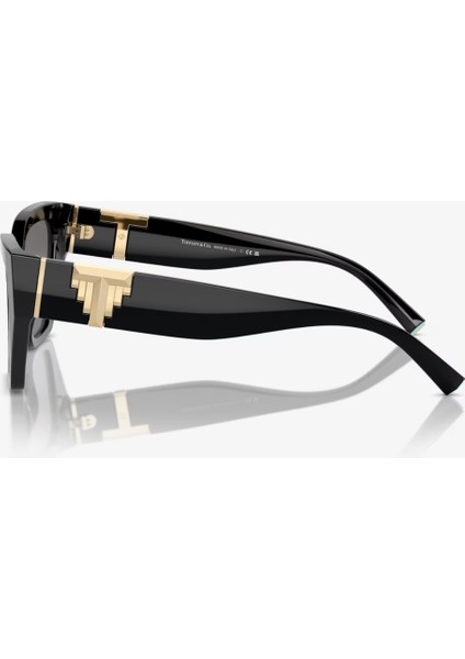 TIFFANY & CO. TF 4218 8001/81 55