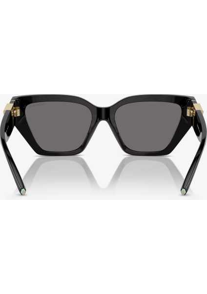 TIFFANY & CO. TF 4218 8001/81 55