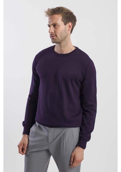 Mor Slim Fit Bisiklet Yaka Erkek Triko modelleri