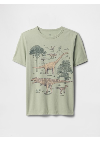 Erkek Çocuk Yeşil Grafik T-Shirt