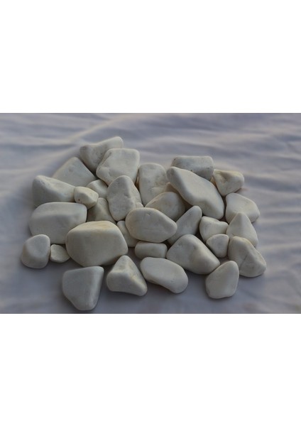 20KG BEYAZ Dolomit Taşı 20-50MM Bahçe Süs Taşı Akvaryum Süs Taşı Teraryum Süs Taşı Dekoratif Taş