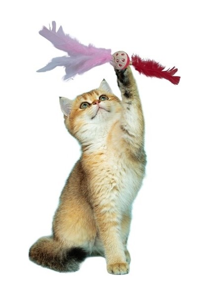 Tüylü Püsküllü kedi Oyuncağı