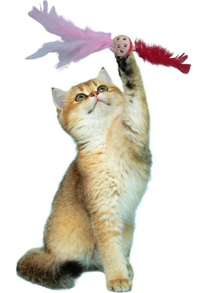 Tüylü Püsküllü kedi Oyuncağı