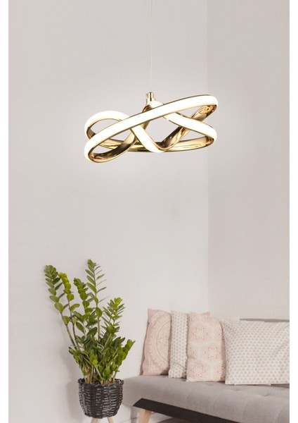 Vino Riserva Model Gold Kaplama Metal Salon Mutfak Oturma Yatak Odası Modern LED Sarkıt Avize fırsatları
