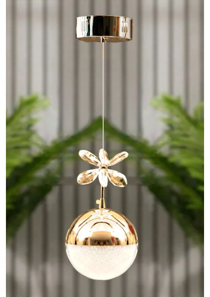 Clasy Model Gold Kaplama 3 Renk Metal Salon Mutfak Oturma Yatak Odası Modern LED Sarkıt Tekli Avize