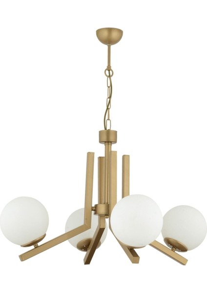 Morgan 4 Lü Eskitme Boyalı Beyaz Camlı Modern Genç Odası Yatak Odası Salon Avize fırsatları