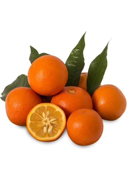 Yeni Sezon Turunç 1 kg Portakallı