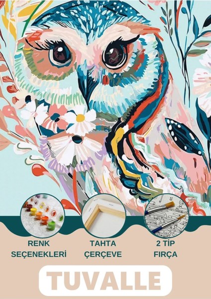 Çapkın Baykuş Sayılarla Boyama Seti, Hobi Seti, 40X50 Tablo, Fırça Boya Asma Aparatı Dahil, Doğa