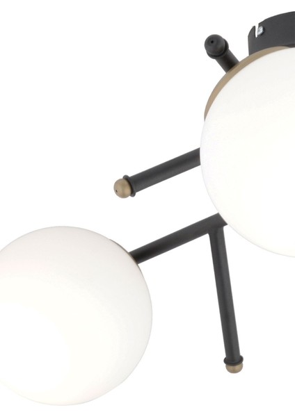 Peyda 3'lü Siyah Eskitme Beyaz Camlı Modern Koridor Yatak Odası Salon Avize fırsatları