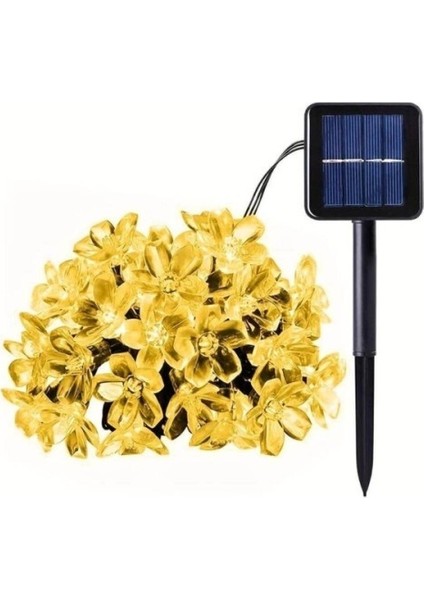 Solar 5m 50 LED Papatya Gün Işığı 8 Fonksiyonlu