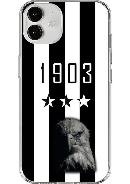 iPhone 12 Mini Uyumlu Şeffaf Kılıf Şeffaf 1907 Boğa Tasarımlı