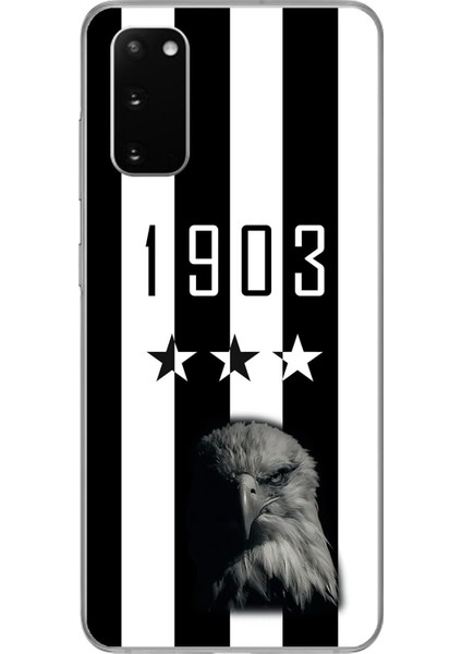 Samsung Galaxy S20 Uyumlu Şeffaf Kılıf Şeffaf 1907 Boğa Tasarımlı