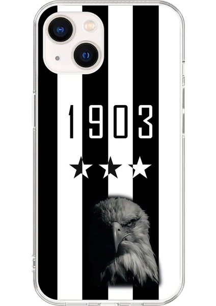 iPhone 13 Uyumlu Şeffaf Kılıf Şeffaf 1907 Boğa Tasarımlı