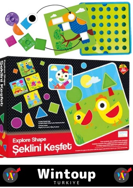 Özel Seri El Becerisi Geliştirici Renkleri Tanıma Parça Bütün Ilişkisi Geliştirici Şeklini Keşfet