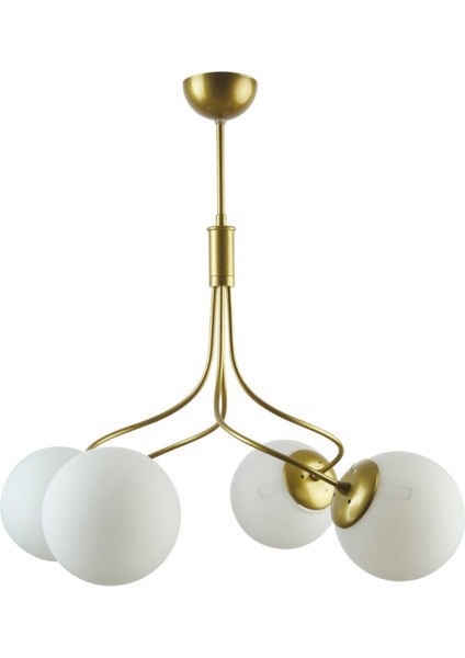 Napoli Modern Siyah Renk Kapalı Füme Camlı Salon - Mutfak - Yatak Odası 4 Lü Avize