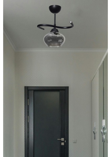 Fuji Salon - Mutfak - Yatak Odası - Hol - Siyah Renk Füme Camlı Tekli Avize